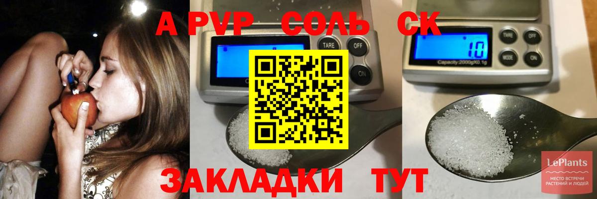 Alfa_PVP  Кинель  закладка  A PVP СК 