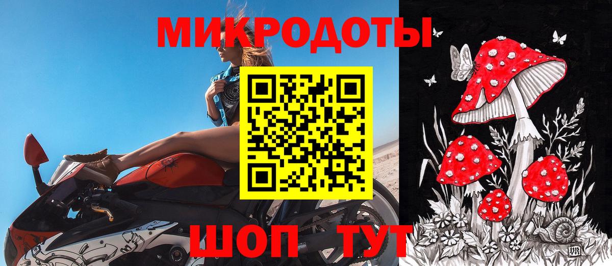 Псилоцибиновые грибы мицелий Кинель