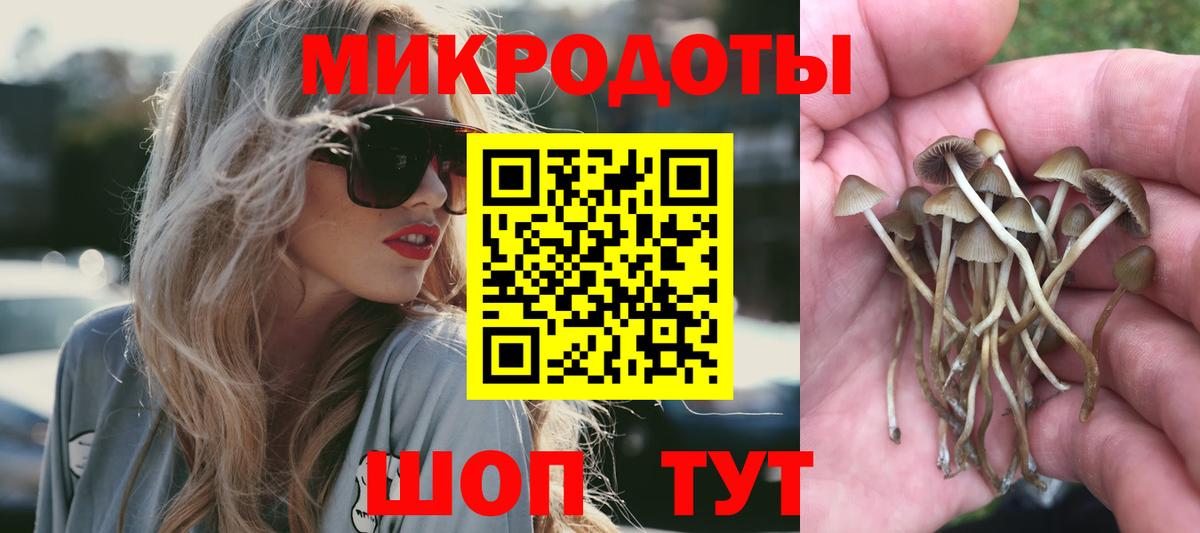где продают наркотики  Галлюциногенные грибы ЛСД  Вход с VPN  Галлюциногенные грибы мухоморы  Кинель 