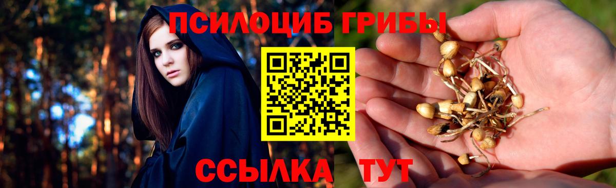 цена   Псилоцибиновые грибы Magic Shrooms  Кинель  Галлюциногенные грибы мицелий 